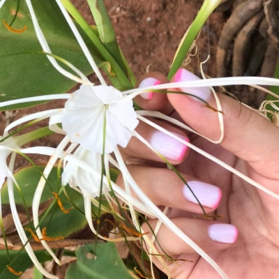 매니큐어, 페디큐어, 왁싱, 얼굴 청소.