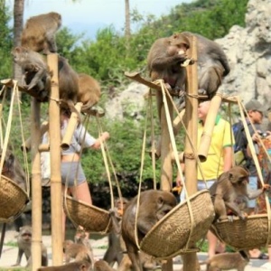 선원과 함께 오랜 시간을 보내고 싶으세요?  Тур на острова Обезьян и Орхидей - 완벽한 선택입니다!