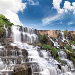 다라트 엑스클루시브