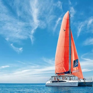 일일 요트 여행