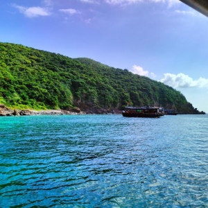 동탐 + 혼문 + 혼탐