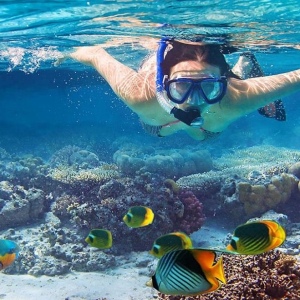 스노클링과 배에서 휴식하기