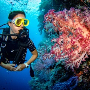 다이빙 + 스노클링