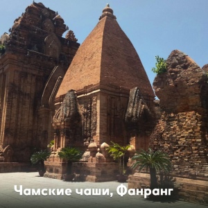 팬랑 + 점심식사