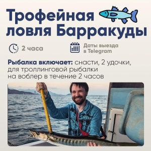 트로피 바라쿠다 낚시